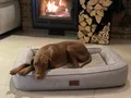 Petlando Orthopädisches Hundebett Lima M stone