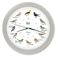 Singvögel SeidenGrau, Die Singende Vogeluhr, mit 12 heimischen Singvögeln und...