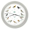 KOOKOO Wanduhr Singvögel Funk Seiden Grau DESV1001RCSG NEU in OVP