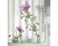 Duschvorhang spirella Anemone Pink 180 x 200 cm
