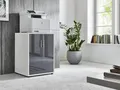 moebel-dich-auf Druckerkommode TABOR Druckerschrank Druckertisch Aktenschrank 2-türig (BxHxT) 54x74x52 cm (weiß/anthrazit Hochglanz)