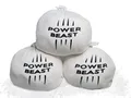 Power Beast 3X Chalk Bälle 60gr, Magnesiumkreide, Kletterkreide Kletterkreide Bouldern, Klettern, Fitness, Crossfit,Gym,Turnen,Pole Dance, Calisthenics, Gewichtheben, Poledance.