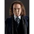 Noble Collection Harry Potter Zauberstab Rufus Scrimgeour (Charakter-Edition) (NN8242)