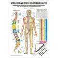 Meridiane u. Dorn Mini-Poster Anatomie 34x24 cm medizinische Lehrmittel, Laminiert