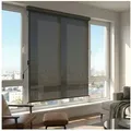SONGMICS Seitenmarkise Senkrechtmarkise Alu, balkon ohne Bohren, ausziehbar (inkl. Zubehörpaket & Anleitung) grau, 250 cm breit, Vertikalmarkise mit Markisenkasten grau 160 cm