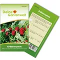 Deine Gartenwelt Erdbeerspinat Strawberry Spinach Samen