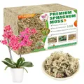 Sphagnummoos 1500g Orchideenmoos Naturmoos für Pflanzen