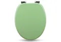 Sanfino WC-Sitz „Mint Green“ hochwertiger Toilettendeckel mit Absenkautomatik aus Holz, viele bunte Motive, hoher Sitzkomfort, einfache Montage