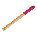 17312 Fipple Tere Soprano G SH