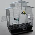 Vogelkäfig,Wellensittichkäfig,Exotenkäfig,60 cm Vogelkäfig Vogelbauer Wellensittich Kanarien Voliere Vogelhaus Käfig IZA 2 II schwarz