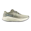 Salomon AERO BLAZE 3 GRVL Gravel-Laufschuhe Herren Tea/Vanilla Ice/Deep Lichen Green 45 1/3 L49217900.105
