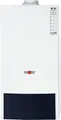 WOLF Gasheizwert-Therme CGU-2-10