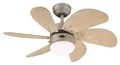 Westinghouse Lighting 76 cm Deckenventilator Turbo Swirl 78158 mit Einzelleuchte und sechs Flügeln, Ausführung in Titan mit Opalmilchglas, 7815840, Titanium