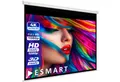 ESMART ESMART Germany Rollo Leinwand Rolloleinwand (Economy EXR)