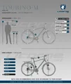 Licorne Bike Premium Touring Trekking Bike in 28 Zoll - Fahrrad für Jungen, Mädchen, Damen und Herren - 21 Gang-Schaltung - Mountainbike - Crossbike