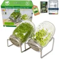 Sprossenglas Keimglas 2er Set 1000ml mit hochwertigem Edelstahl-Gitterdeckel