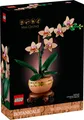 LEGO Botanicals 10343 Mini-Orchidee