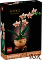 LEGO® Botanicals: 10343 Mini-Orchidee ! NEU & OVP !