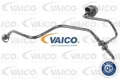 VAICO V10-3581 Schlauch, Luftversorgung für SEAT SKODA VW