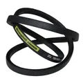 Strongbelt classis Z38 1/2 - 10 x 975 Li, Keilriemen, klassisch