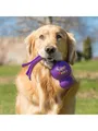 KONG Hundespielzeug Wubba Assorted Colors Large 32cm