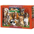 Castorland Castor 3000 El. Dog Club (3000 Teile) (C-300501-2)