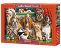 Castorland C-300501-2 Dog Club, 3000 Teile Puzzle, bunt