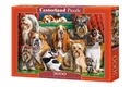 Puzzle 3000 elementów. Dog Club