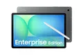 Samsung Galaxy Tab S10 FE Enterprise Edition (10,9") 5G 128GB Grau