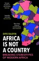 Dipo Faloyin Africa Is Not A Country