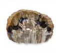 Kinaree Aufsatzwaschbecken Versteinertes Holz Waschbecken #4, poliert, Naturstein, Schwarz, Braun, Bruchstein Optik