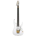 Ibanez Axe Design Lab Prestige RGA622XH-WH White E Gitarre