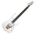 Besondere E-Gitarre mit Macassar Ebenholz Griffbrett & inkl. Hartschalenkoffer