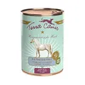 Terra Canis | Pferd mit Steckrübe, Fenchel und Salbei | getreidefrei | Nassfutter | 12x400g