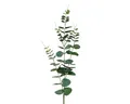 Künstlicher Eukalyptuszweig 78cm - Kunstzweig Eukalyptus - Zweige Blätterzweige Dekozweige - Kunstblumen Deko Zweig - Hochzeitsdeko Frühlingsdeko Osterdeko - Grün