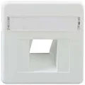 Rutenbeck Zentralstück 1 Fach UAE-Cat. 8 ZSt UAE-Cat. 8 rw Inhalt: 1St.
