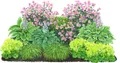 Dehner Bio Stauden-Set Schattengarten, 12 Pflanzen für schattige Standorte, mehrjährig, je 5-20 cm exkl. Pflanztopf, Ø Topf je 9 cm, grün / bunt