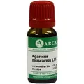 Agaricus Arca Lm 12 10 ML