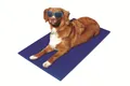 Ollesch Hundematte Selbstkühlende Matte Kühlmatte für Hund und Katze 40x50cm