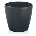 Classico Color 21 Komplettset Muskat - Lechuza