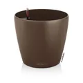 LECHUZA CLASSICO Color 21 muskat 13183