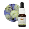Bush Flower - Sunshine Wattle 15 ml - Blumenessenz