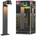 Paulmann LED Pollerleuchte Capea insektenfreundlich - Grau/Schwarz