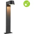 Paulmann 94715 LED Pollerleuchte Capea Insektenfreundlich IP44 500mm 2200K 6W 450lm 230V 98°