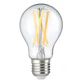 Alecto SMARTLIGHT110 WLAN LED Glühbirne - E27 Fassung - Dimmbar - Farbe einstellbar - ohne Bridge - Tuya und Smartlife, Silber