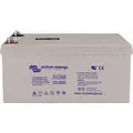 Victron Batterie Akku AGM Deep Cycle 12V 110Ah zyklenfest Bleiakku schwarz