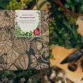 Klostergarten-Kräuter - Samen-Geschenkset mit 11 Heil- und Küchenkräutersorten