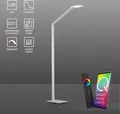 Paul Neuhaus LED Stehleuchte Q - HANNES Smart Home H148cm CCT-Stehlampe dimmbar Fernbedienung Alexa Aluminium Wohnzimmer, Schlafzimmer, Büro 487-95