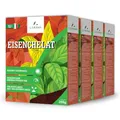 LERAVA® – Eisenchelat Dünger (800g) – Eisendünger für Pflanzen | Hortensien Dünger Eisen – Wirkt gegen Chlorose & Blattvergilbung – Kräftiges Blattgrün & sichtbarer Effekt nach wenigen Tagen