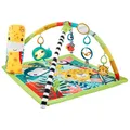 Mattel HJW08 - Fisher Price - Rainforest Spielmatte